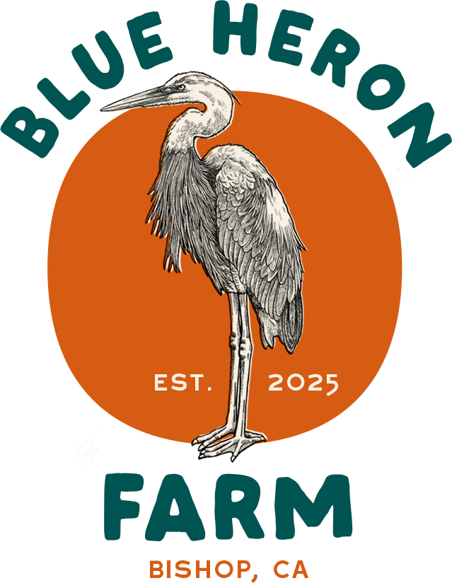 Blue Heron Logo